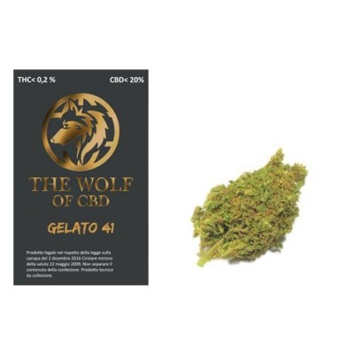 The Wolf of CBD Gelato 41 3gr